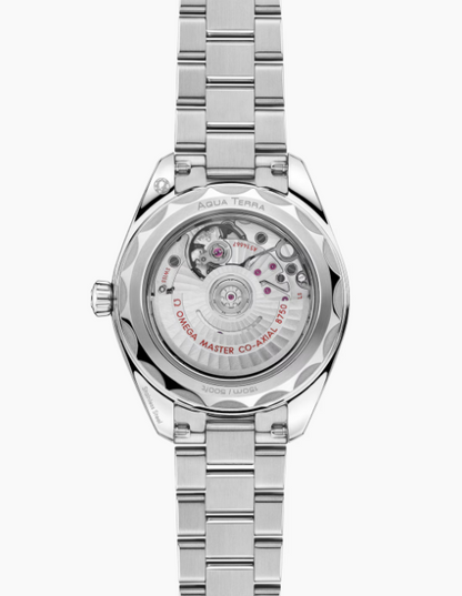 OMEGA SEAMASTER AQUA TERRA