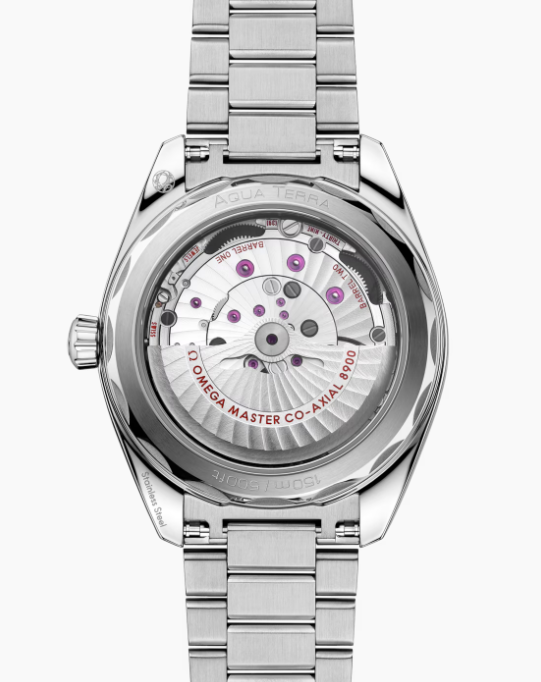 OMEGA SEAMASTER AQUA TERRA 41mm