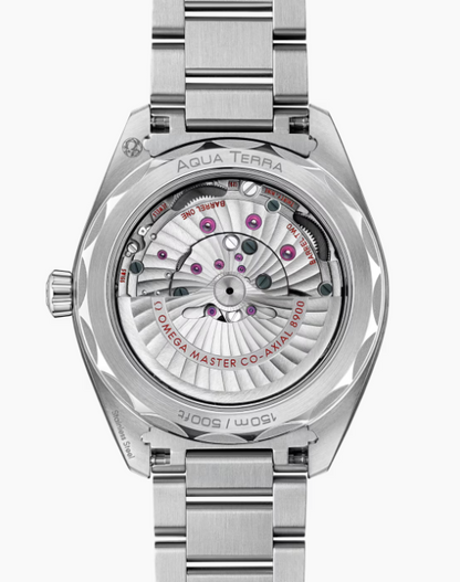 OMEGA SEAMASTER AQUA TERRA 41mm